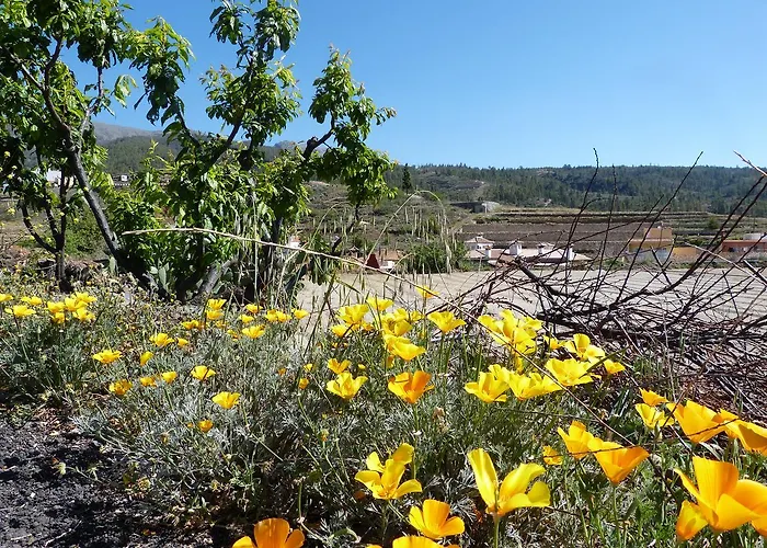German 招待所 维拉弗洛尔